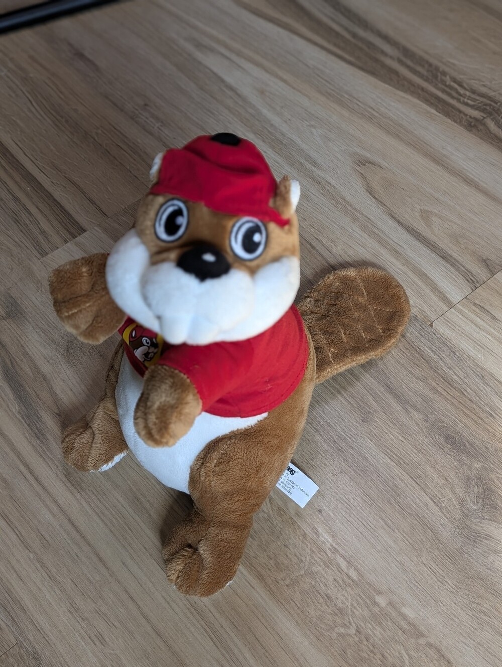 Buc-Ee's Plush Bucky The Beaver Plush Stuffed Toy